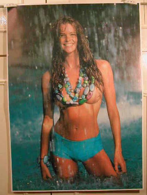 Elle Mc Pherson - 61x86 cm - AFFICHE / POSTER