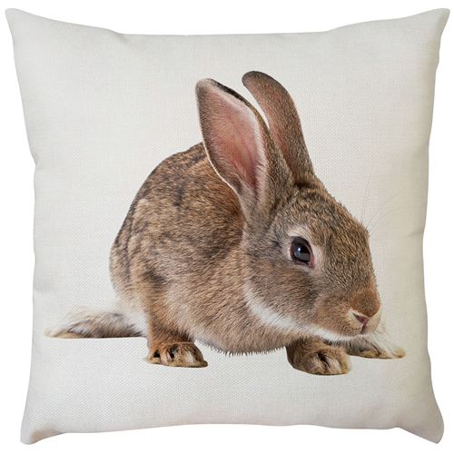 Taie 509 d'oreiller intérieure douce et créative romantique 45*45 CM - Multicolore