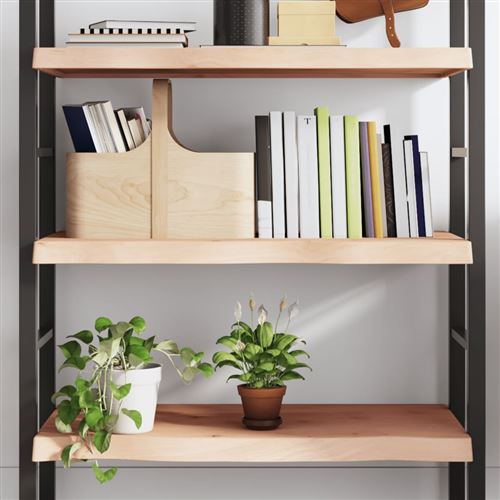 Vidaxl Wandschap 100X60x(2-6) Cm Onbehandeld Massief Eikenhout363571 - Image 3