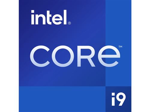 INTEL Intel Core i9 13900