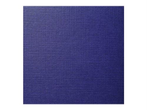 Exacompta Forever - Carton - A4 (210 x 297 mm) - bleu foncé - 270 g/m² - 100 unités emballage de rames en poly - couverture à reliure