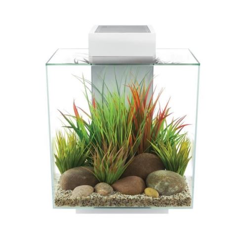 fluval aquarium edge 46 l - blanc brillant