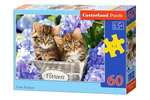 Castorland Puzzles Cute kittens 60 pièces