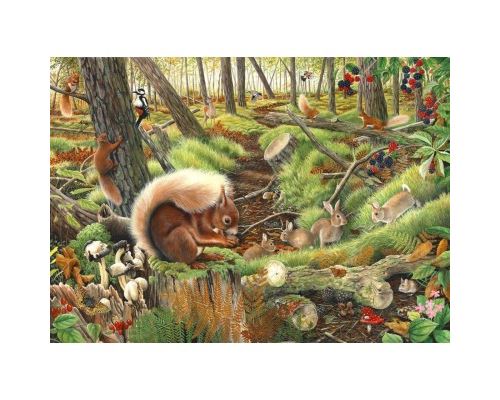 Puzzle 1000 Pièces : Save Our Squirrels, The House of Puzzles