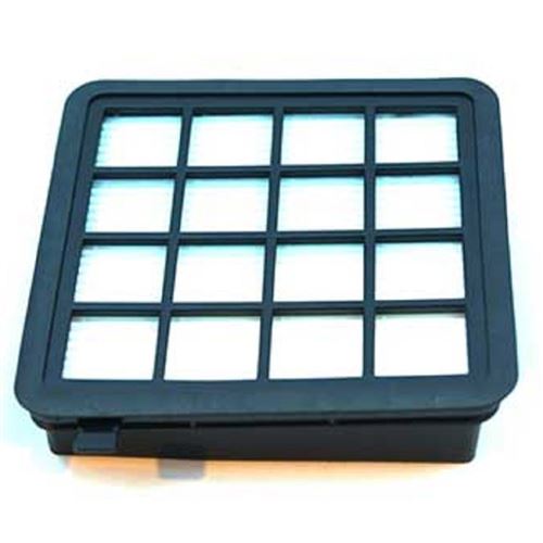 Filtre Hygiene H10 pour Aspirateur Electrolux