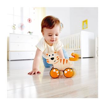 Dante le chat qui trottine