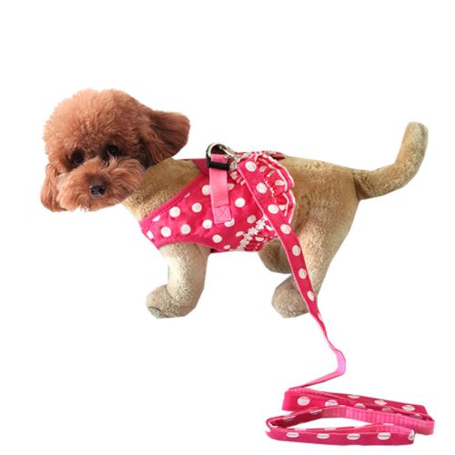 Meilleurs prix pour Laisse durable à la mode pour chien - Rose (Taille: XL)