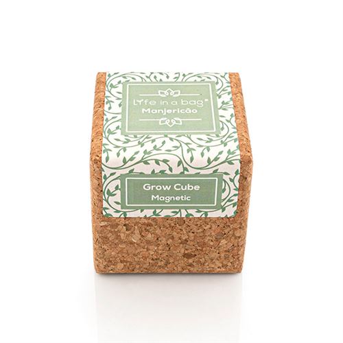 grow cube aimanté basilic