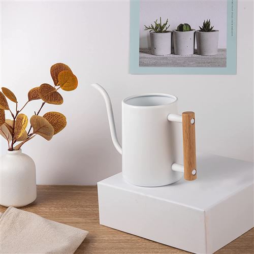 Arrosoir D'intérieur élégant - Bec Long Pour Arrosage Précis