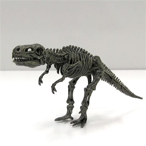 Science4you - Brachiosaurus, Kit de Fouille pour Enfant +6 Ans