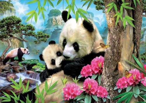 EDUCA Puzzle adulte la famille de panda - 1000 pieces -  collection animaux 