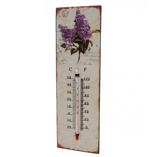L'Héritier Du Temps - Thermomètre mural décoratif en celsius ou farenheit ou à poser motif 'floral' en fer et papier vernis 0,5x8x25cm