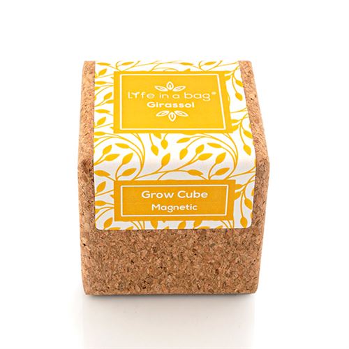 grow cube aimanté tournesol
