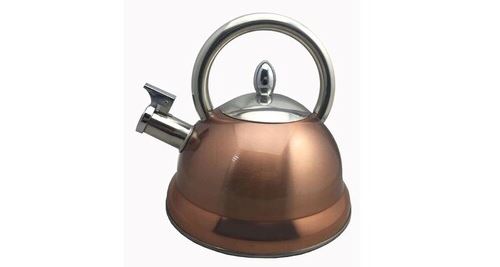 Bouilloire à  sifflet en inox 3l stainless_steel