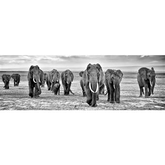 125x100cm- Kit 5 TOILES IMPRIMEE TABLEAU DECO - ELEPHANT EL10BW-5T125100
