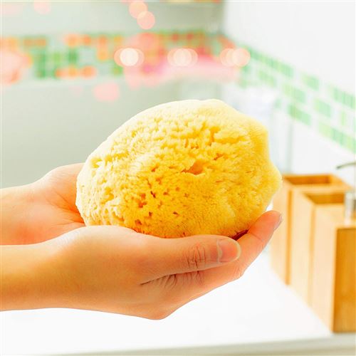 Grande Éponge Naturelle Bain & Douche pour le Corps (12,5-13,5 cm) Zephyr® Végétale Mer Golfe du Mexique (bébé, enfant, adulte)