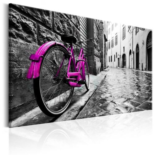 Tableau - Vintage Pink Bike .Taille : 60x40