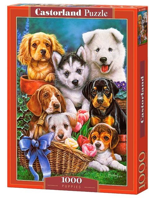 Castorland puzzle Puppies Puppies 1000 pièces