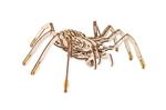 Eco-Wood-Art kit modèle araignée en bois 239-pièce