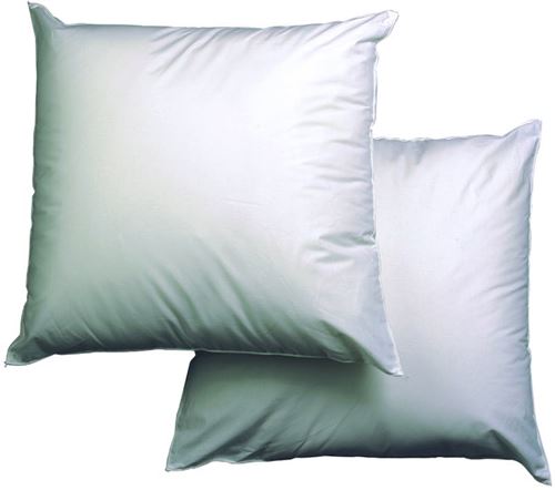 Lot de 2 Oreillers Anti Acariens Ferme Polyester Blanc 60 x 60 cm blanrêve LOACAVD006060