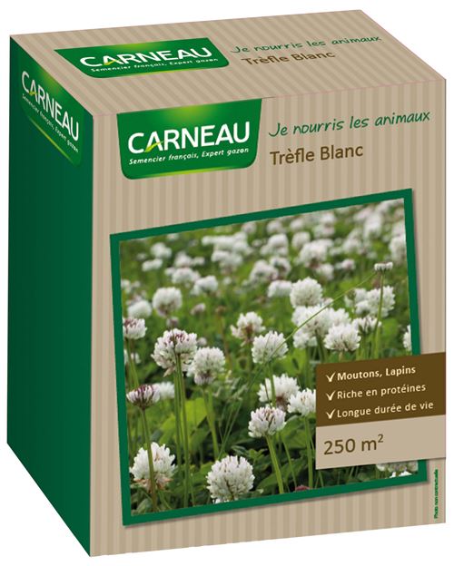 Carneau - Trèfle blanc Je nourris les animaux 250 m²