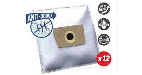 Sac Aspirateur Temium Sac A Ro122Mn X12