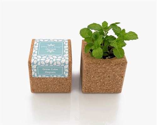 grow cube aimanté menthe
