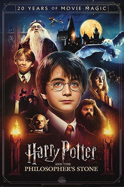 Harry Potter Poster - Collection Tous Les Films - Cdiscount Maison