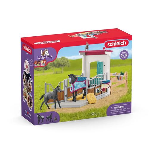 Horse Club Box À Cheval Avec Jument Et Poulain