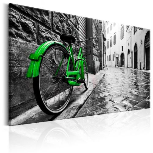 Tableau - Vintage Green Bike .Taille : 60x40
