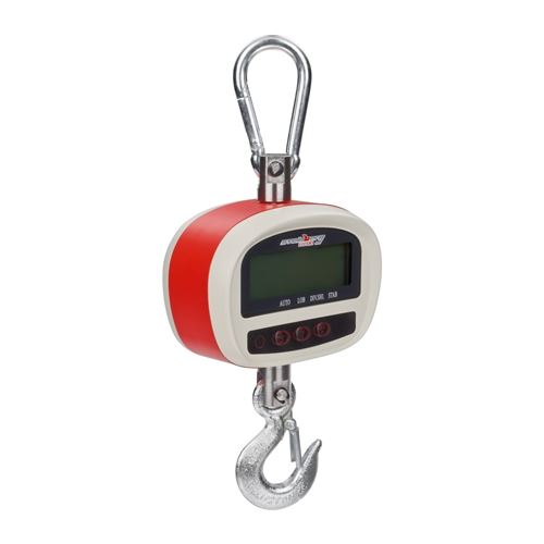Crochet peseur industriel professionnel 300kg / 50g - LCD