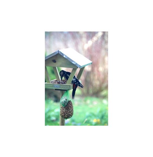 0€01 sur Nichoir Oiseaux Exterieur Tradition FONGWAN en Métal sur pied à  Poser Villa, Décoration de Jardin - Or - Cages et Accessoires oiseaux -  Achat & prix