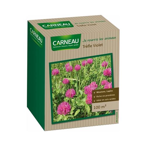 Carneau - Trèfle violet Je nourris les animaux 100 m²