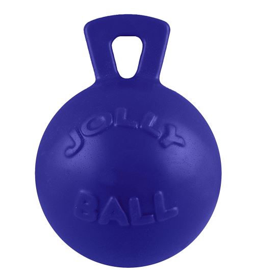 Jolly Pets Tug-n-Toss Jouet pour Chien Bleu 20 cm