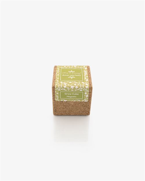 grow cube aimanté pensée
