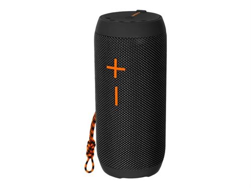 Avenzo AV-SP3005B - Haut-parleur - sans fil - Bluetooth - 16 Watt - noir