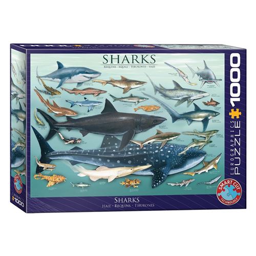 Puzzle Eurographics - Requins, 1000 pièces