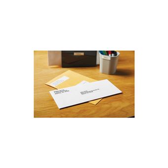 DYMO LabelWriter Boite de 2 rouleaux de 130 étiquettes adresse standard 28mm x 89mm