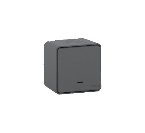 Schneider Electric Gris Interrupteur Va Et Vient Lumineux Led À Connexion Automatique Ip55 Ik08 - Saillie - Mureva Styl