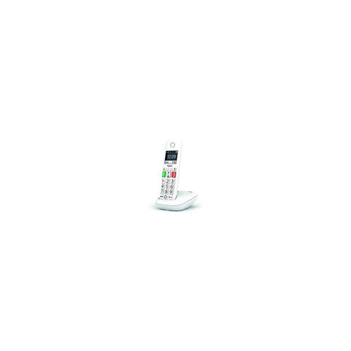 e290 white