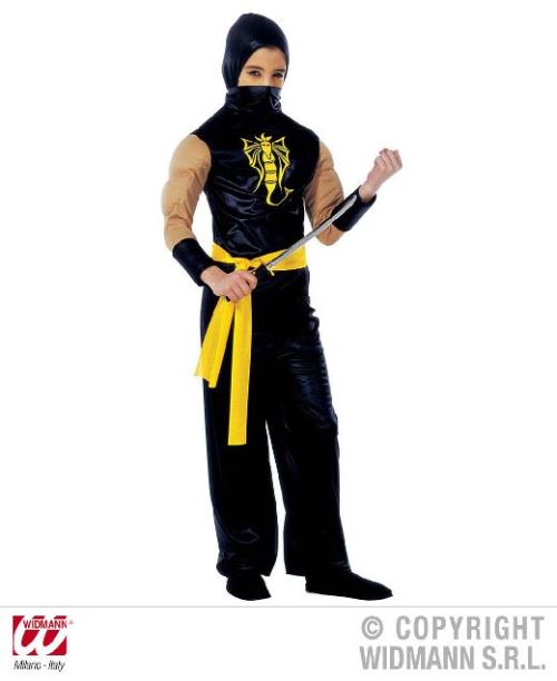 Déguisement Power ninja 11/13 ans