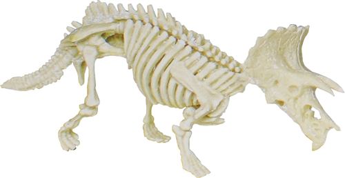 Johntoy set d'excavation Triceratops Science Explorer