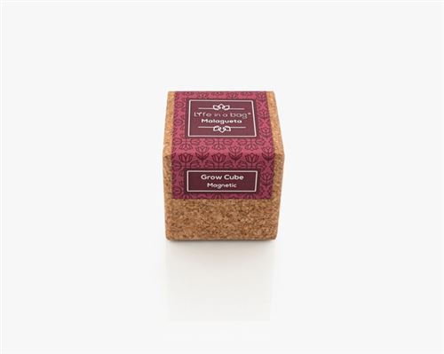 grow cube aimanté piments