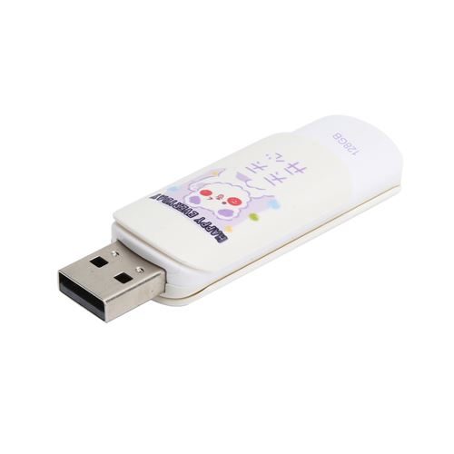 Clé USB2.0 Type de couvercle de glissière stockage pour IBM PC OS X PC 128G