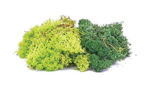 Skale Scenics Lichen - Green Mix - Humbrol