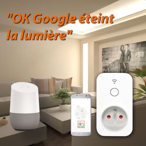 Prise connectée WiFi compatible Google Home et  Alexa - Prise  connectée - Achat & prix