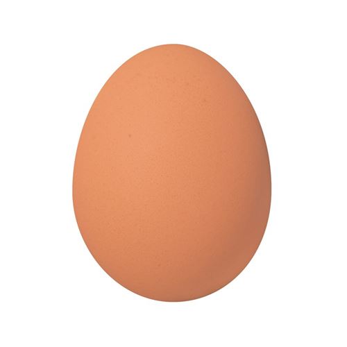 Balle oeuf rebondissante
