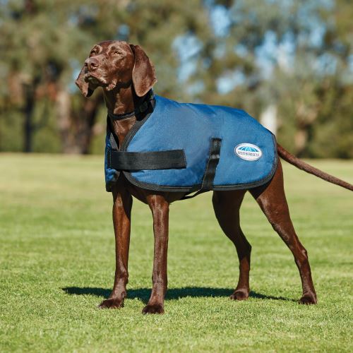 Comparer les prix de Weatherbeeta - Manteau COMFITEC - Chien (40 cm) (Bleu) - UTWB1334