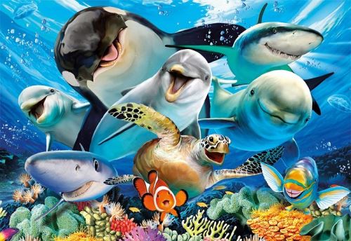Puzzle fond marins dauphins requins et orque - collection animaux de la mer - 500 pieces