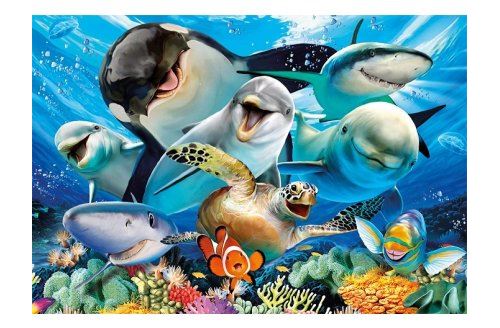 Puzzle Selfie Sous 'eau : Orque Requins Et Dauphins 500 Pieces Collection Animaux De La Mer Educa 17647 - vue 2